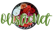 Olisticnet logo Olisticnet logo